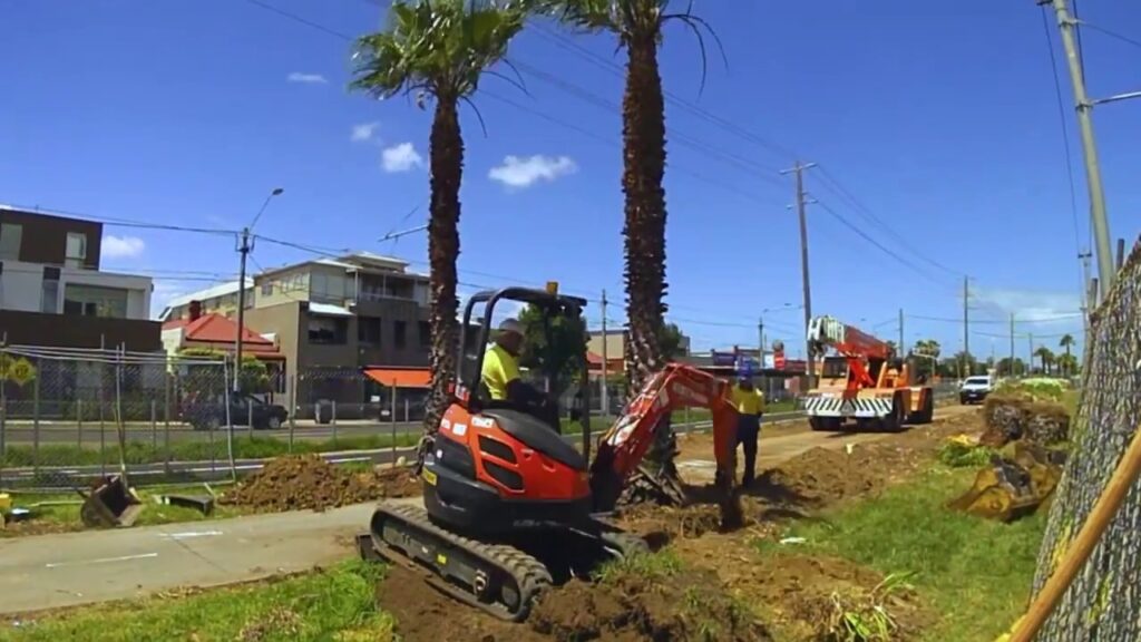 Palm Tree Removal-Near Me-Wellington Pro Tree Trimming and Removal Team