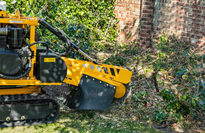 Stump Grinding-Services-Wellington Pro Tree Trimming and Removal Team